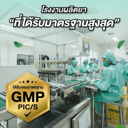 ยาดม เป๊ปเปอร์มิ้นท์ ฟิลด์ แบล็คอินเฮเลอร์ ขนาด 2 ซีซี จำนวน 120 ชิ้น